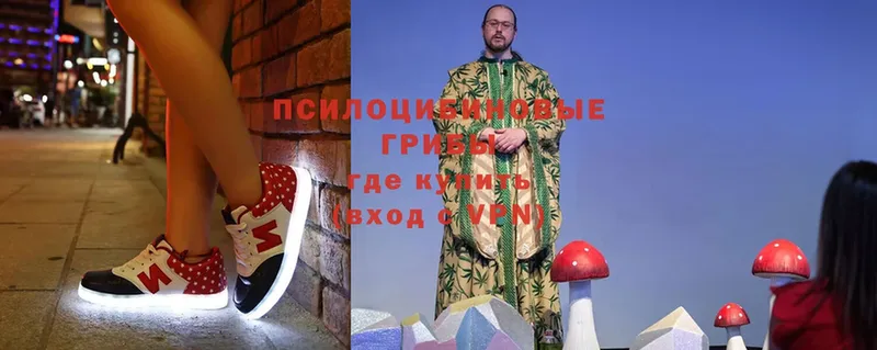 Галлюциногенные грибы Cubensis  где можно купить   Ейск 